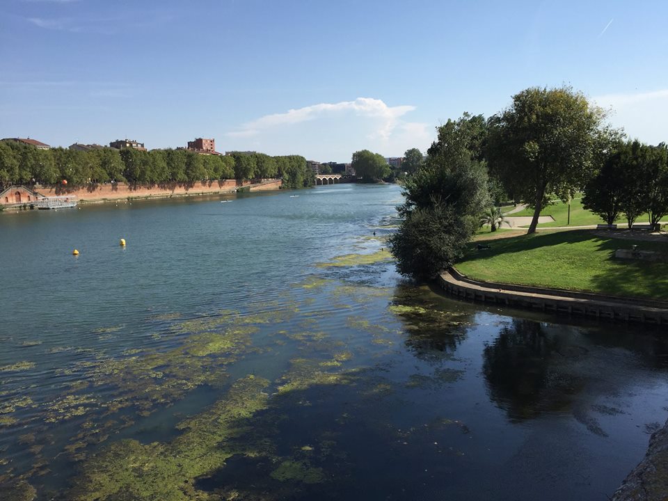 Brasileiros vivendo em Toulouse | 1001 Dicas de Viagem