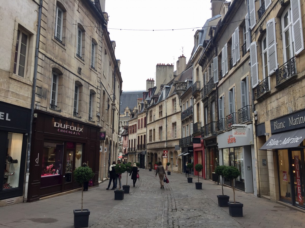 Roteiro em Dijon - O que fazer em Dijon na Borgonha | 1001 Dicas de Viagem Dijon, Bourgogne, France