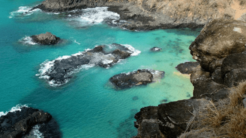 Roteiro para Fernando de Noronha | 1001 Dicas de Viagem