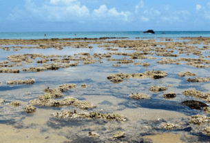 Roteiro para Fernando de Noronha | 1001 Dicas de Viagem