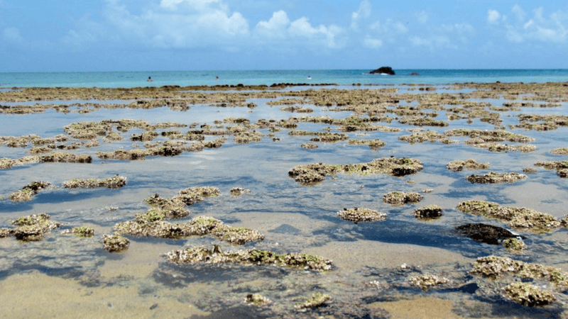 Roteiro para Fernando de Noronha | 1001 Dicas de Viagem