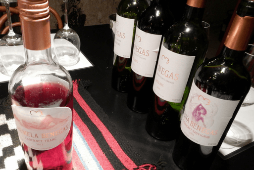 Wine Degustation Benegas Argetine 