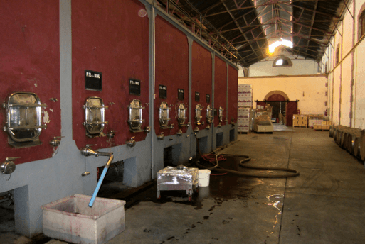 Wine Fermentation Mendoza