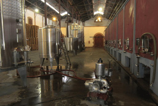 Wine Fermentation Mendoza