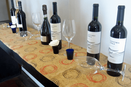 Bodega Septima Argentine Wine Mendoza