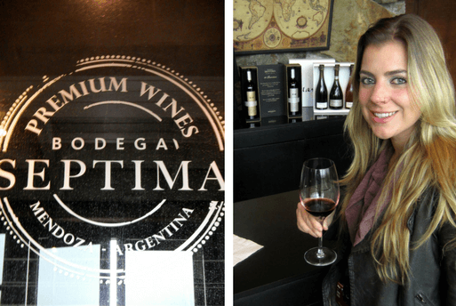 Bodega Septima Argentine Wine Mendoza