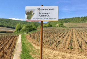 Rota dos Vinhos Grands Crus da Borgonha de bicicleta. Route des Grands Crus en vélo - Bourgogne | 1001 Dicas de Viagem