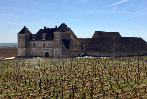 Route des Grands Crus en vélo - Bourgogne