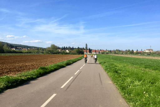 Route des Grands Crus en vélo - Bourgogne