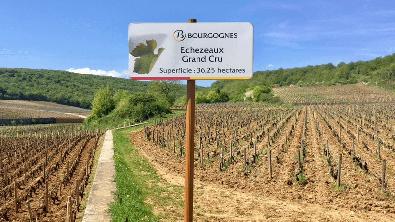 Rota dos Vinhos Grands Crus da Borgonha de bicicleta. Route des Grands Crus en vélo - Bourgogne | 1001 Dicas de Viagem