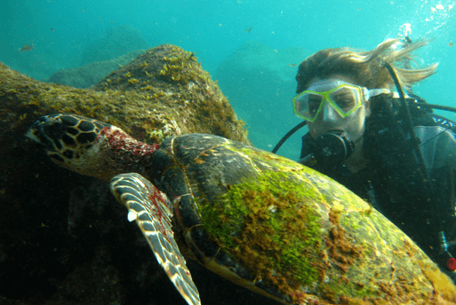 Mergulho de Cilindro em Fernando de Noronha | 1001 Dicas de Viagem