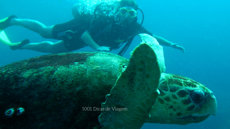 Mergulho de Cilindro em Fernando de Noronha | 1001 Dicas de Viagem