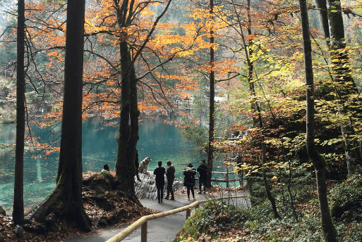 Roteiro na Suiça - Blausee em Berna Suíça| 1001 Dicas de Viagem Blausee Berne, Switzerland : a Lagoa da Azul da Suíça | 1001 Dicas de Viagem