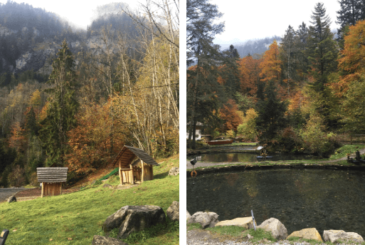 Blausee Bern, Switzerland : a Lagoa Azul da Suíça | 1001 Dicas de Viagem Blausee Berne, Switzerland : a Lagoa da Azul da Suíça | 1001 Dicas de Viagem