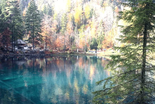 Blausee Berne, Switzerland : a Lagoa da Azul da Suíça | 1001 Dicas de Viagem