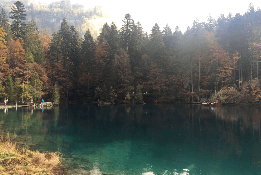 Roteiro na Suiça - Blausee em Berna Suíça| 1001 Dicas de Viagem Blausee Berne, Switzerland : a Lagoa da Azul da Suíça | 1001 Dicas de Viagem