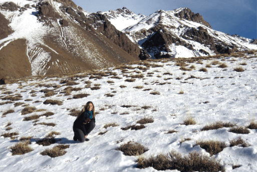 Aconcagua Mountain Climbing and Trekking - Dicas de Viagem