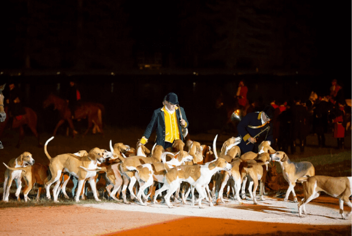 Spectacle du Château de Saint-Fargeau | Guide France