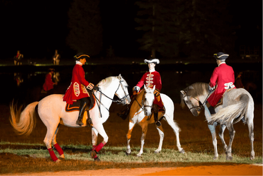 Spectacle du Château de Saint-Fargeau | Guide France