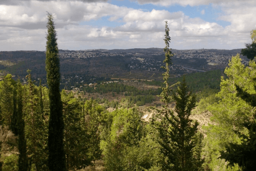 Yad Vashem Museu do Holocausto Jerusalém - Roteiro em Israel