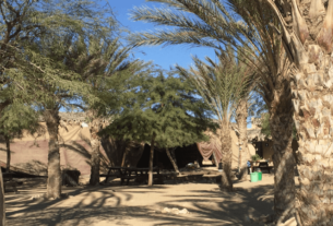 Israel Bedouin Tent Experience | Israel Travel Guide