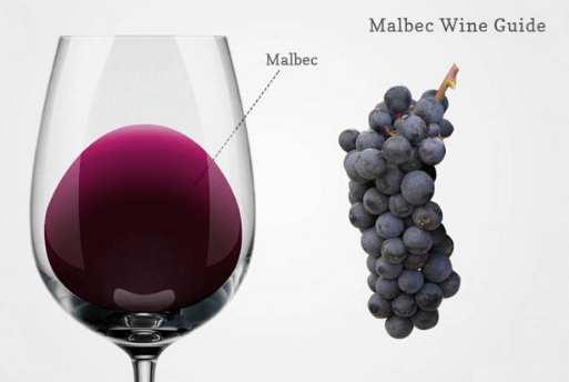 Malbec Day - Dia Mundial do Malbec - Malbec World Day | 1001 Dicas de Viagem