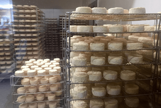 Guia na Borgonha: visita à Queijaria Gaugry na Borgonha - Fromagerie Gaugry Tourime en Bourgogne