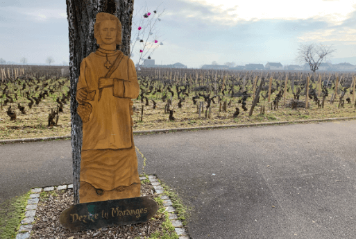 Saint Vincent Tournante - Découvrez la Bourgogne Ambassadrice de Bourgogne