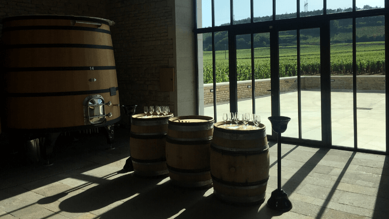 Vinhos da Borgonha Ambassadeur Bourgogne 1001 Dicas de Viagem - Visite Domaine Faiveley Nuits-Saints-Georges Vins de Bourgogne