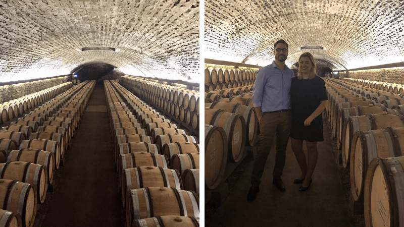 Vinhos da Borgonha Ambassadeur Bourgogne 1001 Dicas de Viagem - Visite Domaine Faiveley Nuits-Saints-Georges Vins de Bourgogne