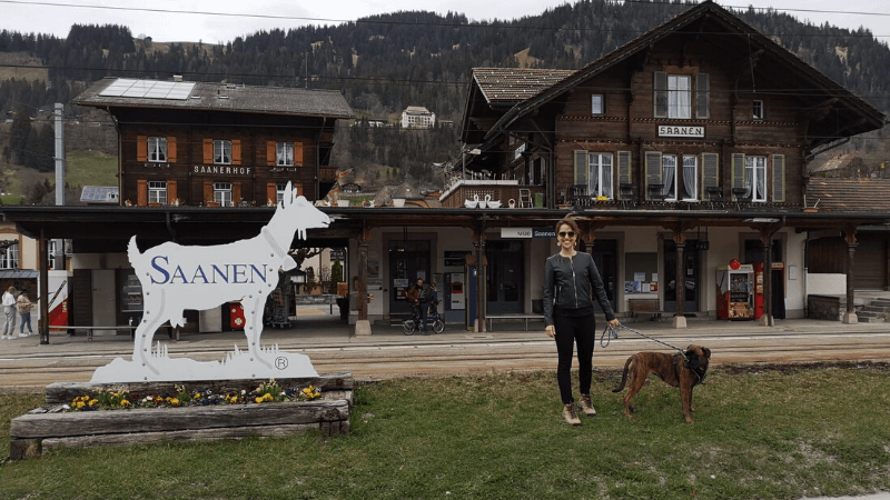 Gstaad Switzerland - Hotel Alpine Lodge Saanen