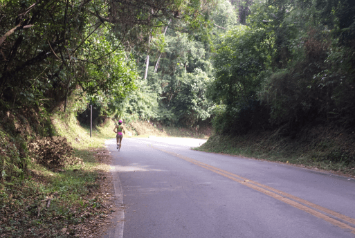 Roteiro em São Paulo Parque Estadual do Jaraguá - Pico do Jaraguá - Treino de corrida no Pico do Jaraguá - 1001 Dicas de Viagem
