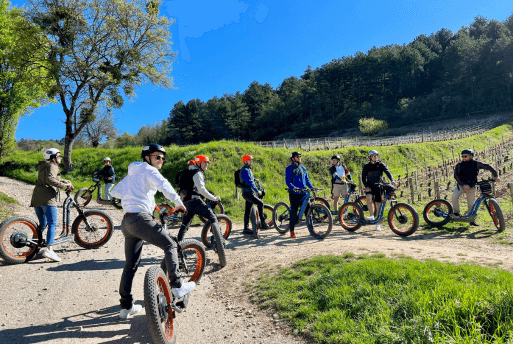 Visite et dégustation de vins Château de Saint-Aubin Maison Prosper Maufoux Bourgogne - roteiro pela Borgonha - Embaixador da Borgonha